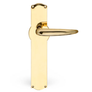 Door handle brass - coupe on hauser backplate