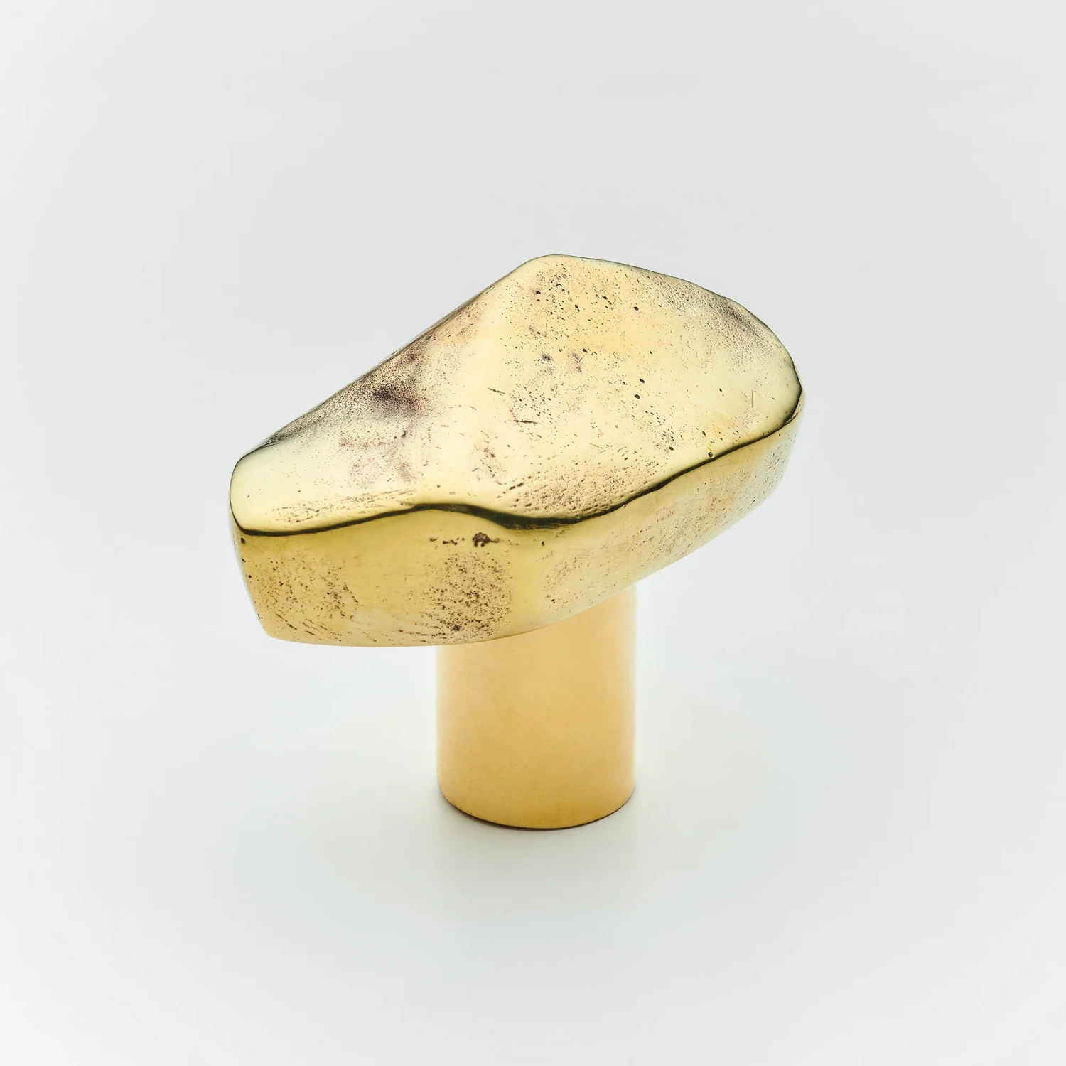 Darwin-Large-Cabinet-Knob-SK3092-PBUL-Henry-Blake-2 Darwin Large Cabinet Knob - Polish brass