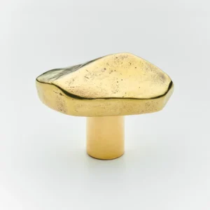 Darwin Large Cabinet Knob - Polish brass