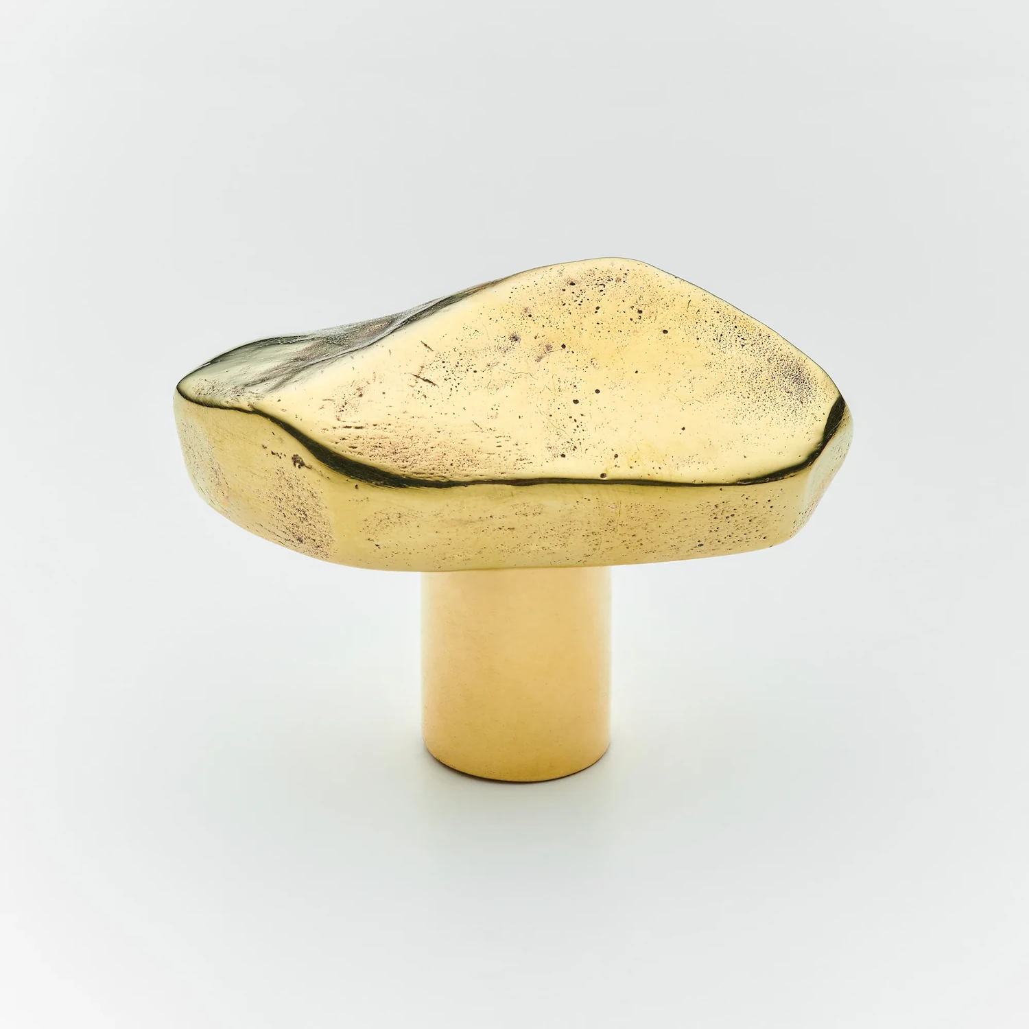 Darwin-Large-Cabinet-Knob-SK3092-PBUL-Henry-Blake Darwin Large Cabinet Knob - Polish brass
