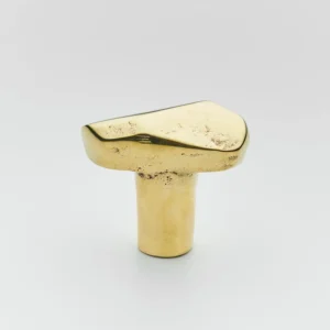 Darwin Small Cabinet Knob - Polish brass